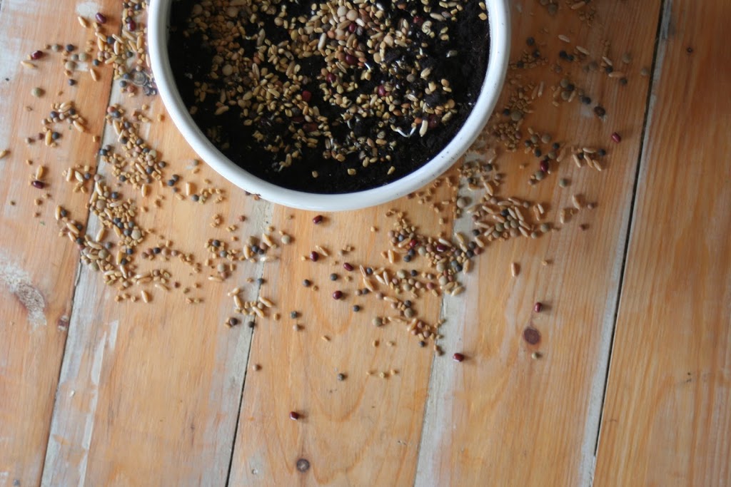 unspOILed health | 3224 River Rd, Cayuga, ON N0A 1E0, Canada | Phone: (905) 906-9393