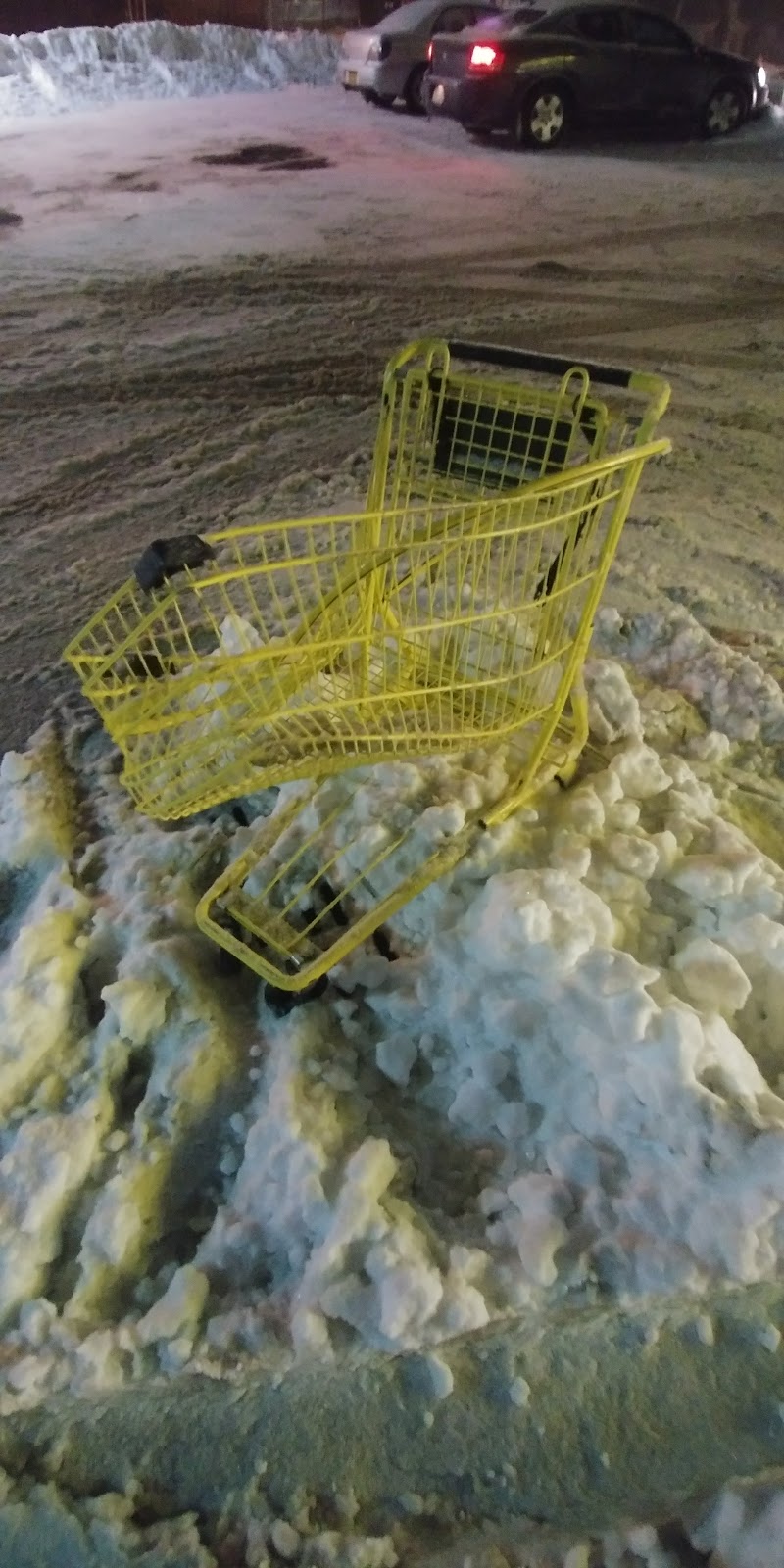 Dollar General | 10607 Erie Rd, Farnham, NY 14061, USA | Phone: (716) 261-9971