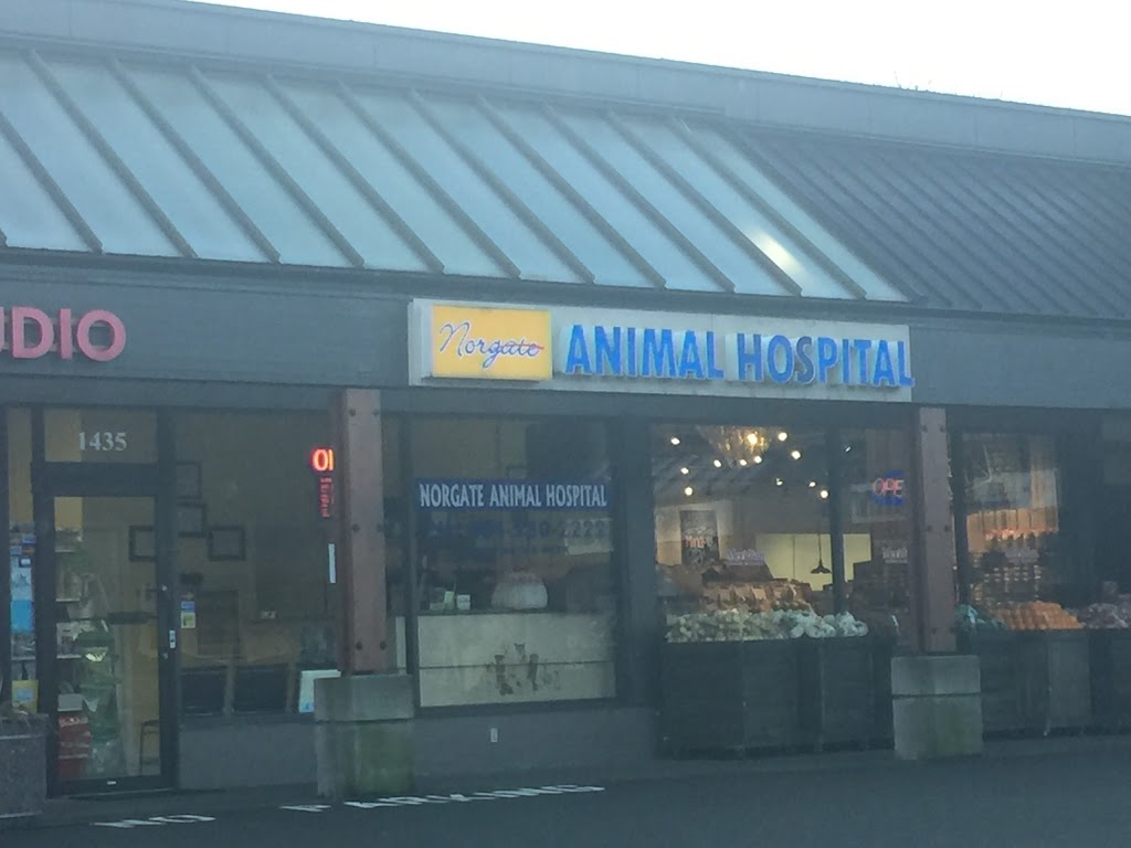 Norgate Animal Hospital | 1435 Marine Dr, North Vancouver, BC V7P 1T5, Canada | Phone: (604) 980-2222