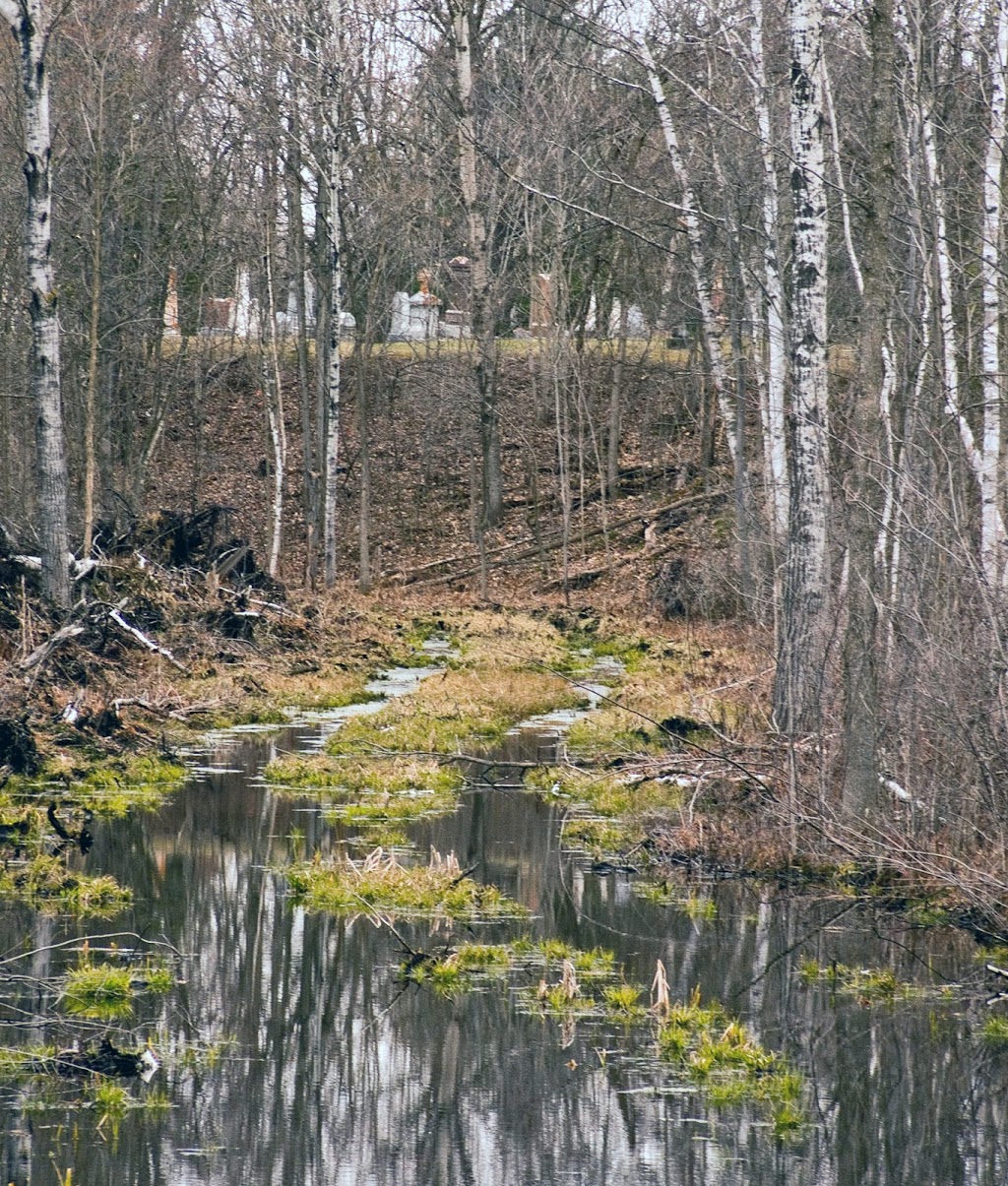 St. Marks Cemetery | 101 Development Dr, Prescott, ON K0E, Canada