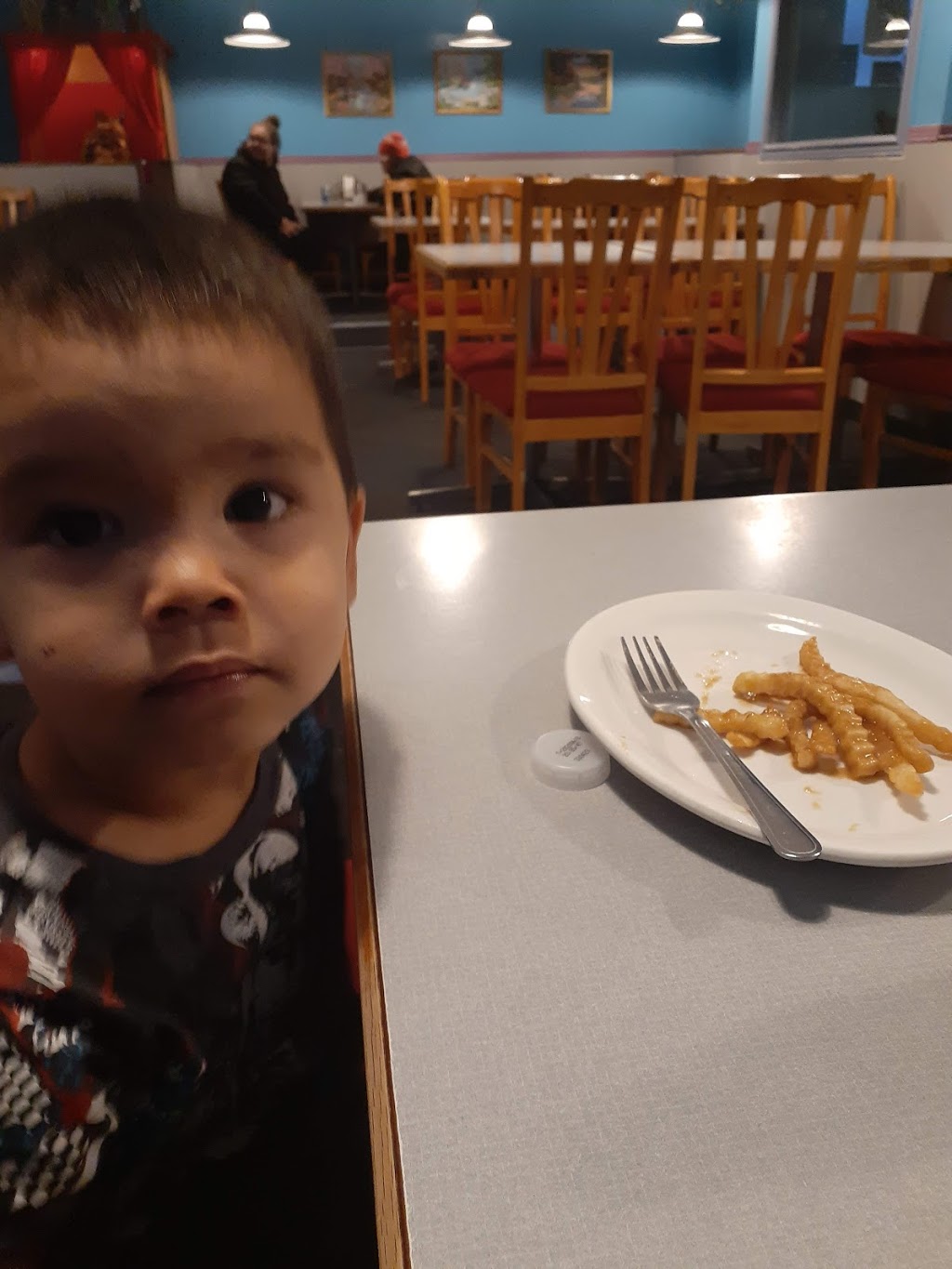 Sonnys Chicken House & Fine Chinese Cuisine | 8 Maple St, Pine Falls, MB R0E 1M0, Canada | Phone: (204) 367-4448