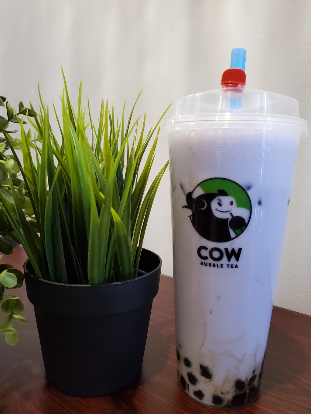 Cow Bubble Tea | 3500 Main St, Buffalo, NY 14226, USA | Phone: (716) 398-5640