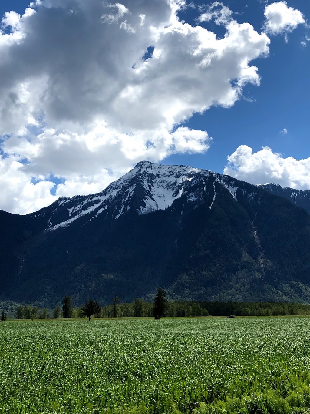 Cheam Fishing Village and Campground | 630 Appel Rd, Agassiz, BC V0M 1A0, Canada | Phone: (604) 997-5533