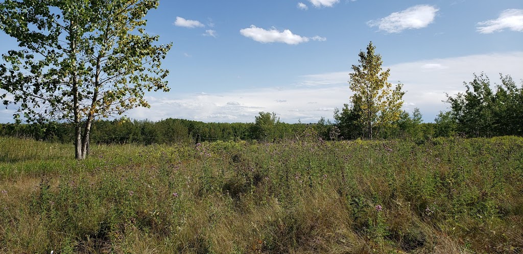 Carnmoney Golf & Country Club | 44001 Dunbow Rd, De Winton, AB T1S 4X7, Canada | Phone: (403) 256-6161