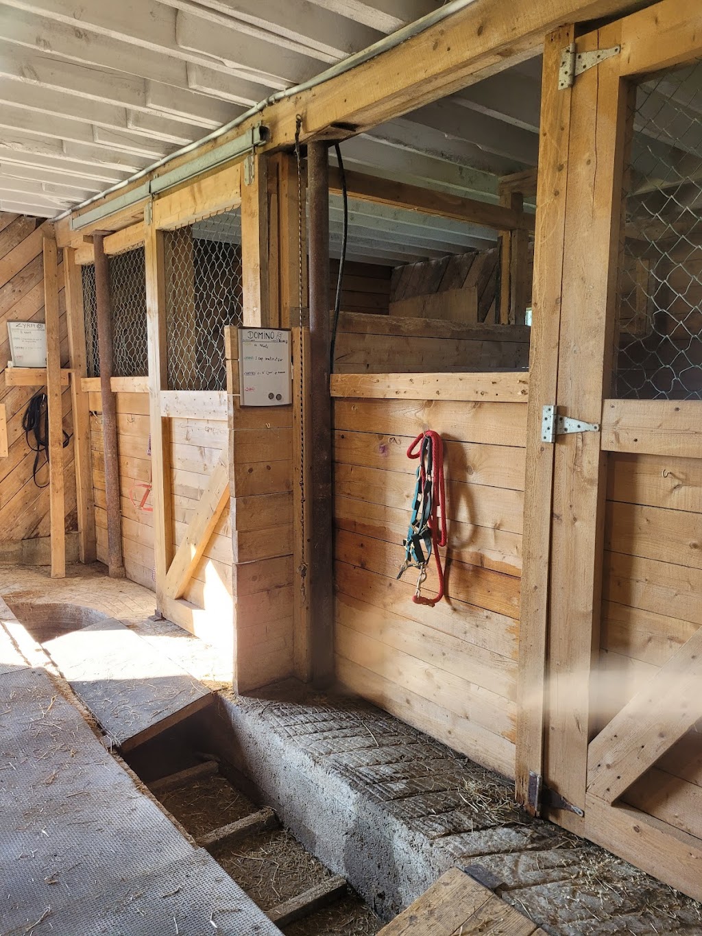 Les Écuries Milton Stables | 1297 10e Rang O, Saint-Adrien, QC J0A 1C0, Canada | Phone: (819) 432-5521