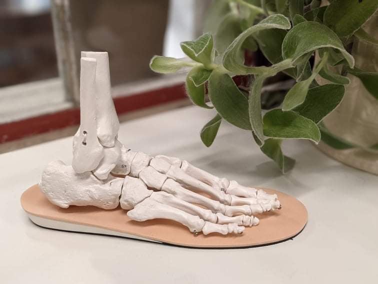 Ground Control Orthotics (Bridgewater) | at South Shore Physiotherapy, 42 Glen Allan Dr, Bridgewater, NS B4V 3N2, Canada | Phone: (902) 802-0606