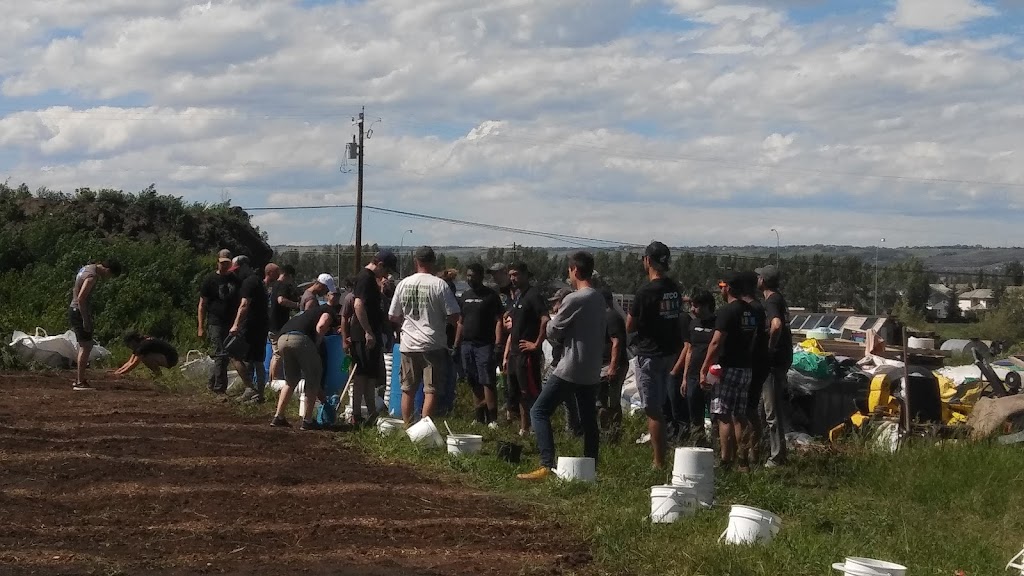 Grow Calgary Farm | Range Rd 293A, Alberta T0M 0E0, Canada | Phone: (403) 383-3420