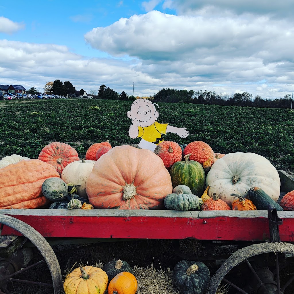 Fruition Berry Farm | 3208 Hughes Rd, Kingston, ON K7L 4V3, Canada | Phone: (613) 548-3378