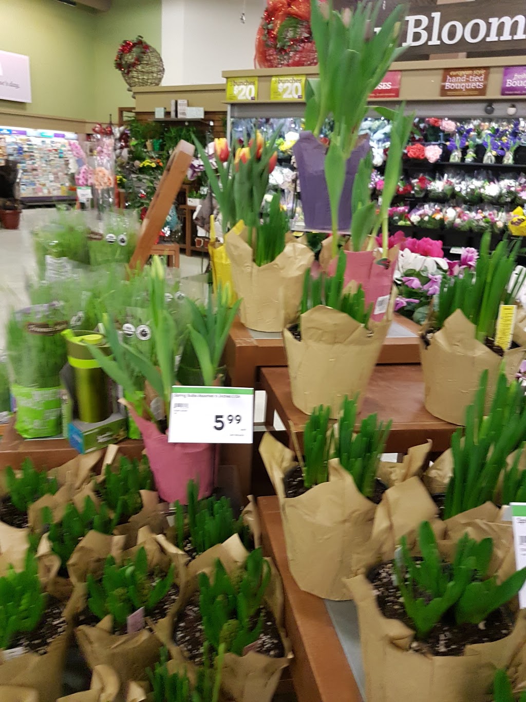 Sobeys Maple Grove | 511 Maple Grove Dr, Oakville, ON L6J 4W3, Canada | Phone: (905) 849-0691