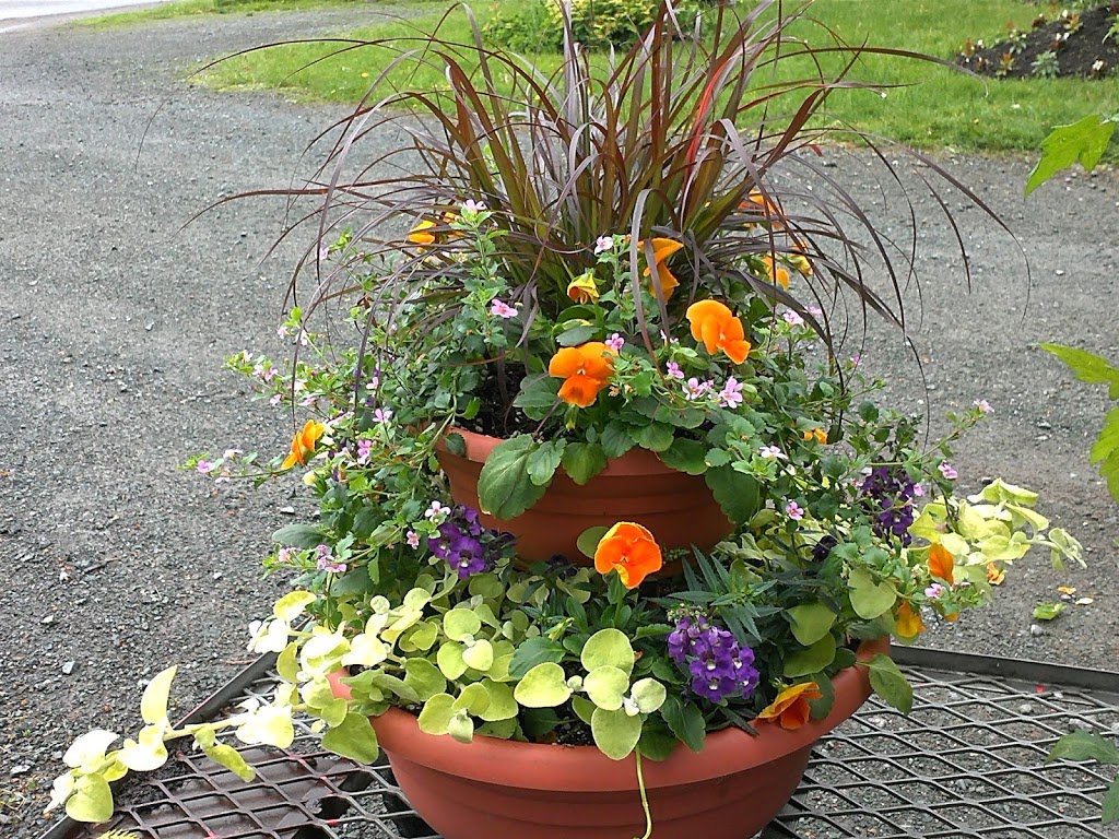 Pépinière et fleurs de France | 9535 Route des Ormes, Bécancour, QC G9H 3R4, Canada | Phone: (819) 297-2448