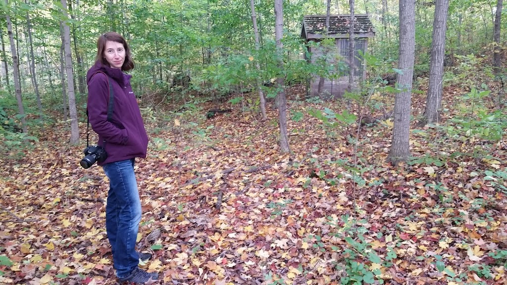 Sawyer Preservation Woodlot | 6100 Line 12, Kirkton, ON N0K 1K0, Canada | Phone: (519) 229-6671