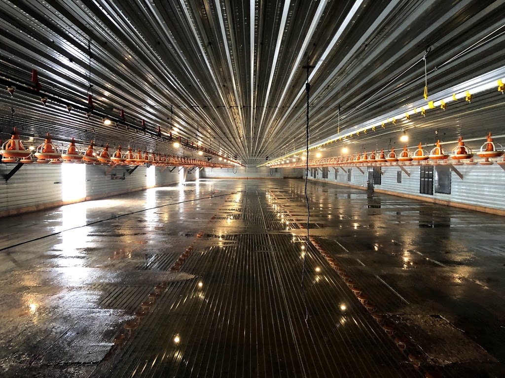 Hydra-Force Power Washing | 976 McDowell Rd E, Simcoe, ON N3Y 4J9, Canada | Phone: (519) 750-4231