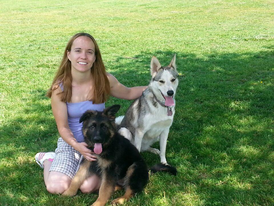 Colborne Veterinary Clinic | 2512 Hwy 24 N, Simcoe, ON N3Y 4K3, Canada | Phone: (519) 428-0721