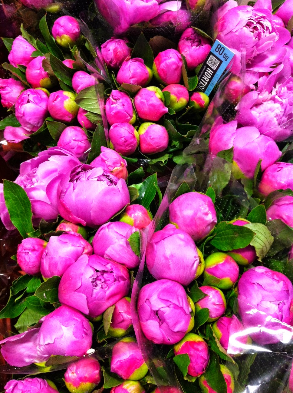 Fleurexpert | 7905 Rte Transcanadienne, Saint-Laurent, QC H4S 1L3, Canada | Phone: (514) 332-7758
