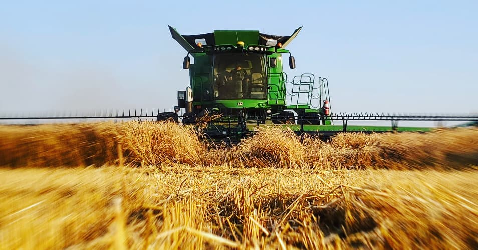 W. Charlot Grains | 4151 Lorne Ave W, Stratford, ON N5A 6S4, Canada | Phone: (519) 273-3771