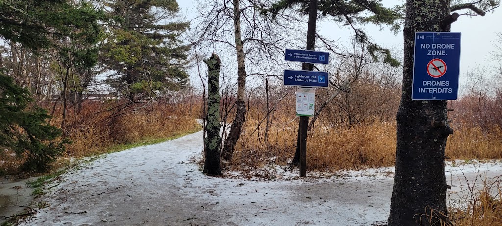 Сape Jourimain Nature Centre | Trans-Canada Hwy, Bayfield, NB E4M 3Z8, Canada | Phone: (506) 538-2220