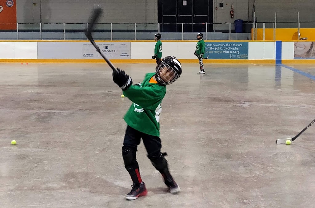 Century Arena | 1377 Clarence Ave, Winnipeg, MB R3T 1T4, Canada | Phone: (204) 510-1743