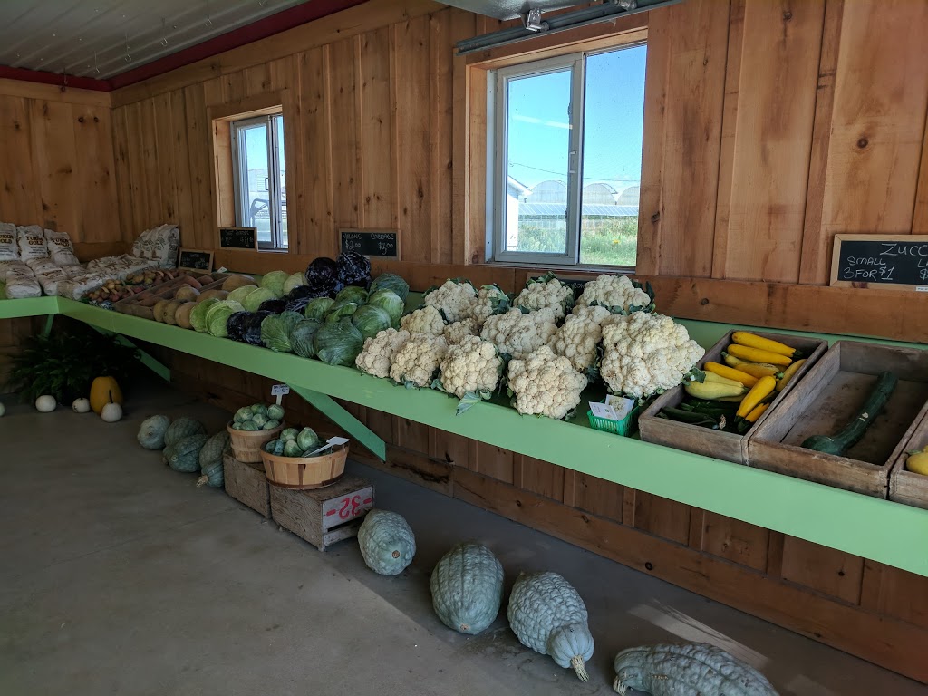 Sunrise Farms | 2190 Seacliff Dr, Kingsville, ON N9Y 2N5, Canada | Phone: (519) 326-5813