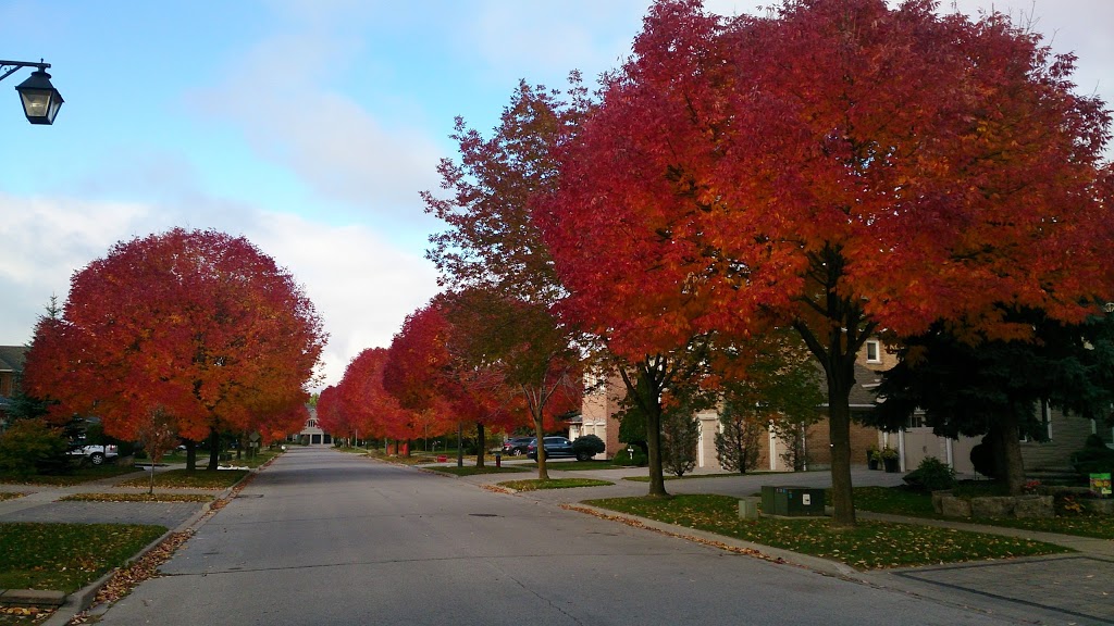 White Oak Parkette | Springbrook Dr., W. of Bayview Av & N. of Bantry Ave., Richmond Hill, ON L4B 3R3, Canada | Phone: (905) 771-8800