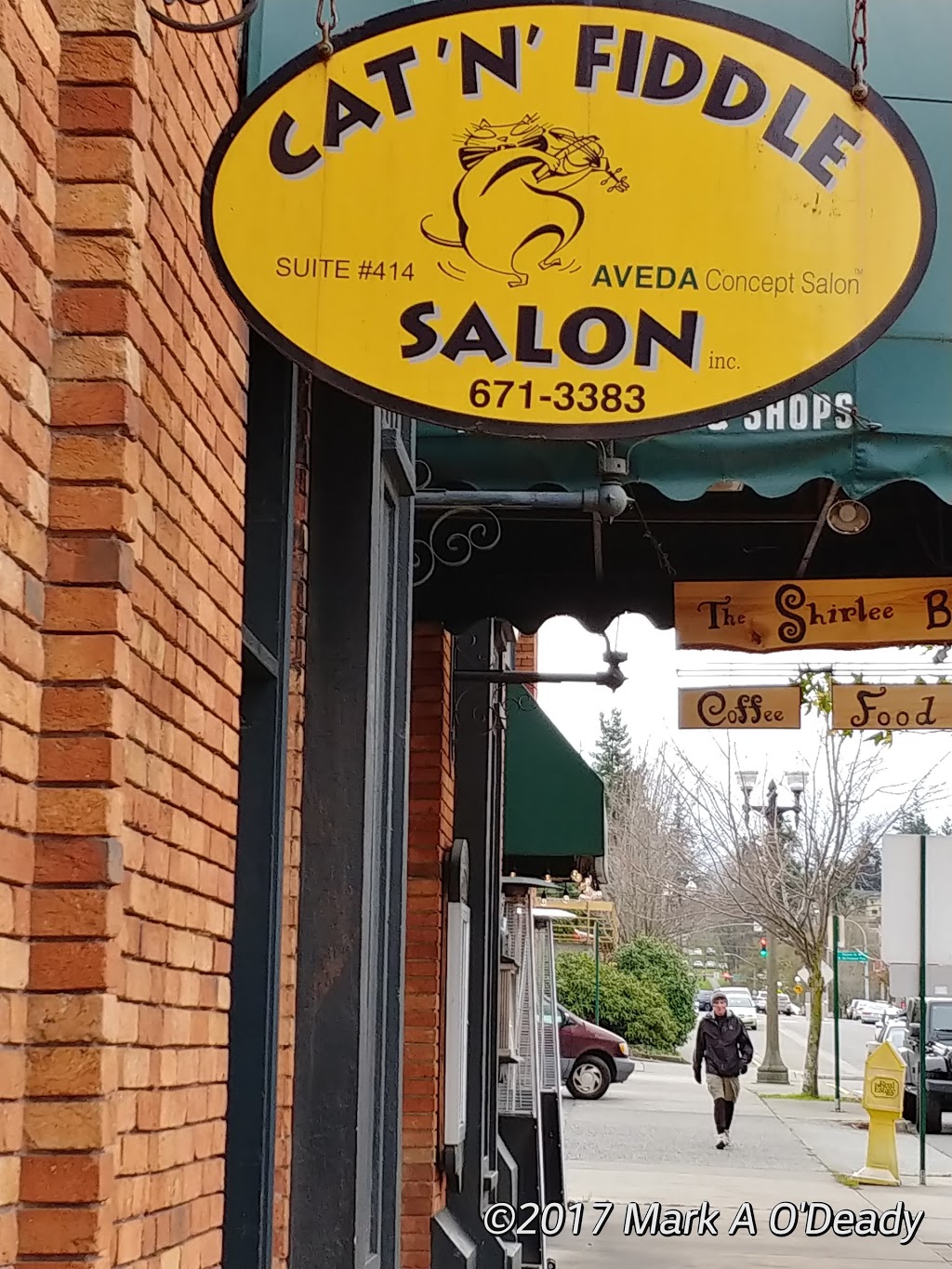Cat N Fiddle | 1200 Harris Ave # 414, Bellingham, WA 98225, USA | Phone: (360) 671-3383