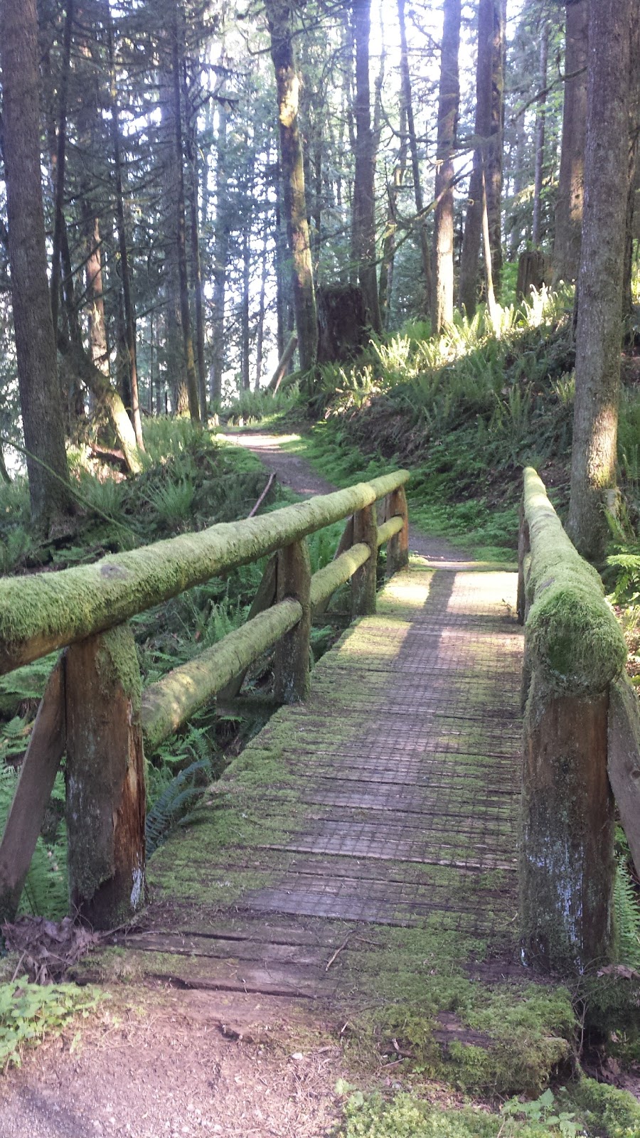 Hayward Lake Reservoir Trail. | 31170 Dewdney Trunk Rd, Mission, BC V4S 1C4, Canada