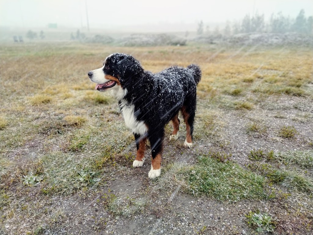 Sue Higgins Park | Southland Drive SE &, Deerfoot Trail, Calgary, AB T2J 1S1, Canada | Phone: (403) 268-2489