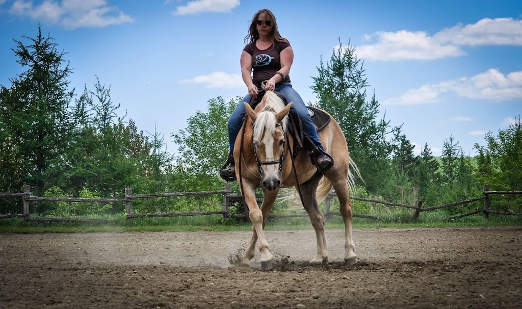 Écurie Andréane Stables | Chem. Dustin, Stanstead-Est, QC J0B 1C0, Canada | Phone: (819) 349-6912
