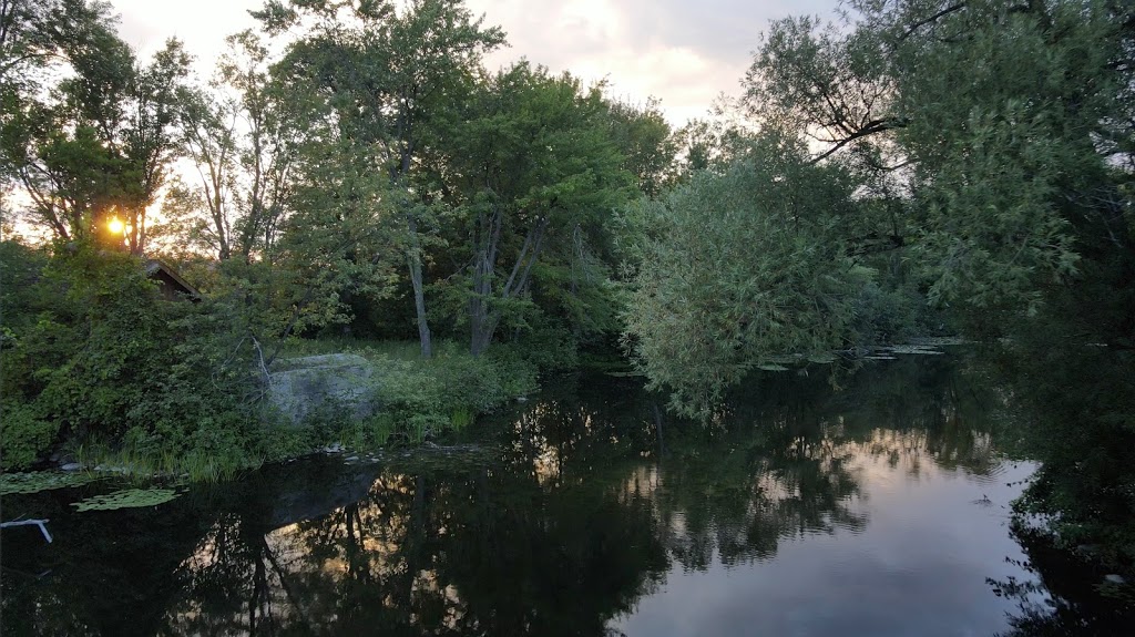 Indian River Family Resort | 2140 Trans-Canada Hwy, Indian River, ON K0L 2B0, Canada | Phone: (705) 957-2777