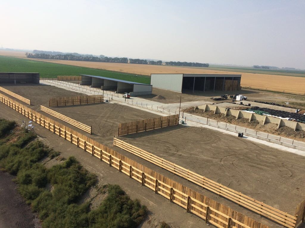 Premiere Construction Ltd | 104080 Range Rd 211, Picture Butte, AB T0K 1V0, Canada | Phone: (403) 732-4473