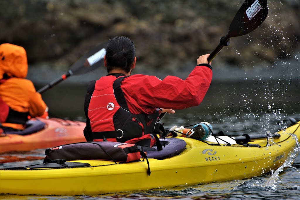 Nimbus Paddles | 1429 W Rd, Heriot Bay, BC V0P 1H0, Canada | Phone: (778) 363-3625