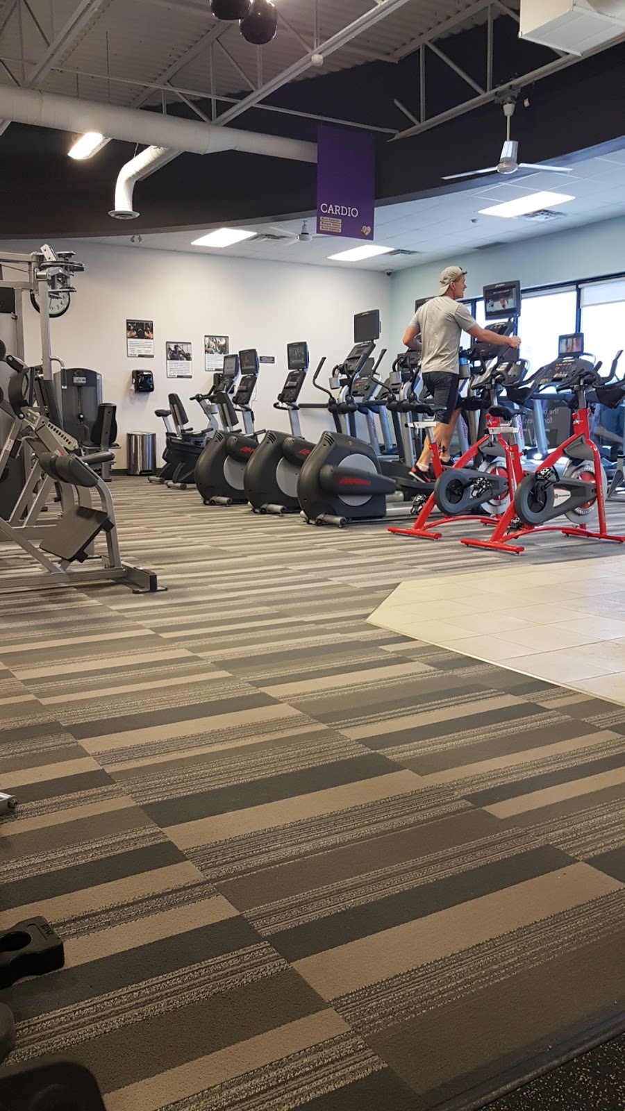 Anytime Fitness | 2600 Lakeshore Rd, Brights Grove, ON N0N 1C0, Canada | Phone: (519) 869-2009