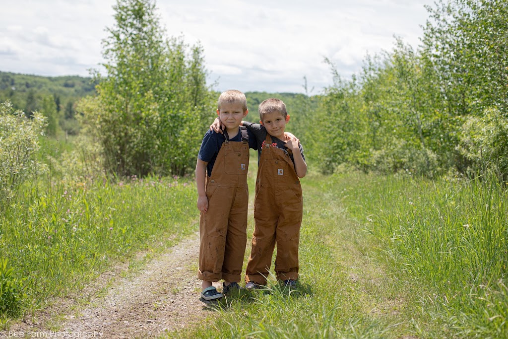 Bee Farm Photography | 239 Chemin Hallé O, Brigham, QC J2K 4J7, Canada | Phone: (514) 463-5547