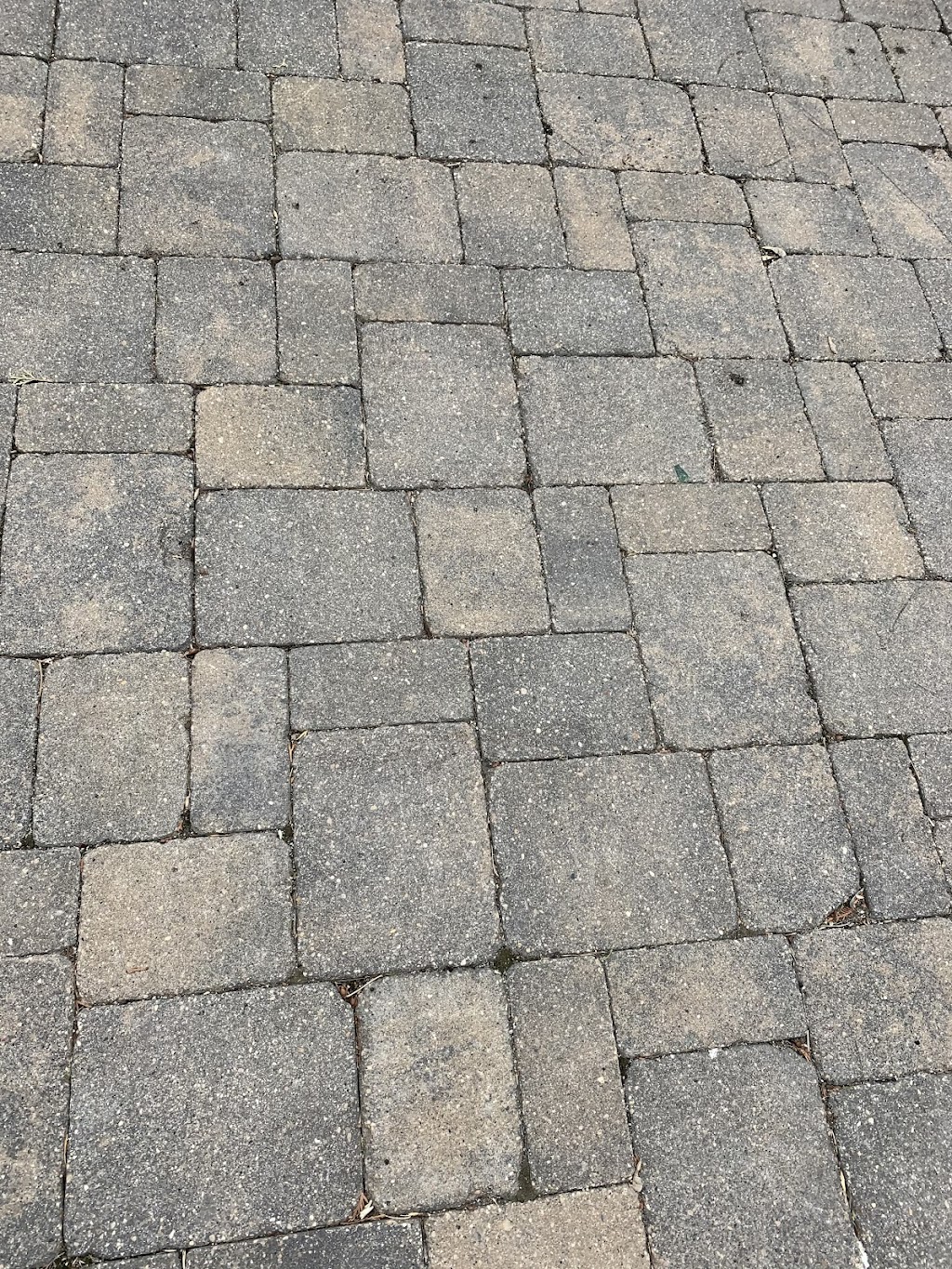 Beaucage Lawn & Garden Care | 4880 Wilkes Ave, Winnipeg, MB R3S 1C6, Canada | Phone: (204) 895-8279