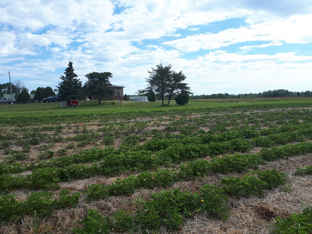 Ruby Berry Farms | 745 Joanette Rd, Chelmsford, ON P0M 1L0, Canada | Phone: (705) 855-9901