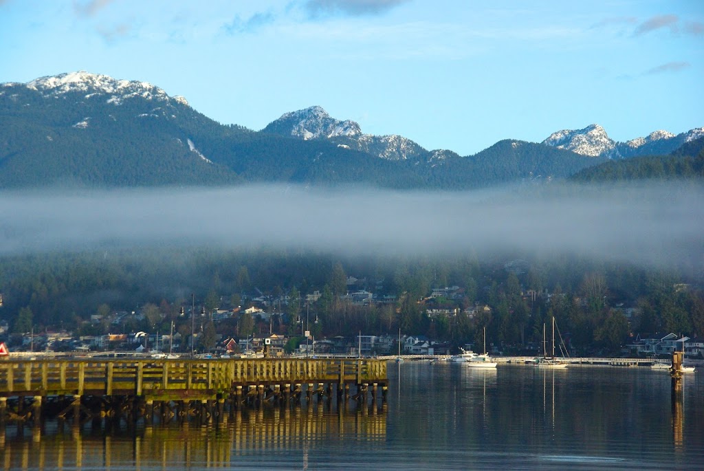 Scott McLeod - Properly Homes | Dogwood Pl, Port Moody, BC V3H 4A5, Canada | Phone: (604) 319-4438