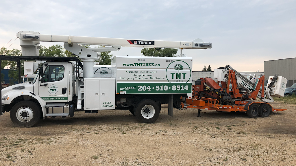 TNT Tree Service Ltd. | 81 Linacre Rd, Winnipeg, MB R3T 3G7, Canada | Phone: (204) 510-8514