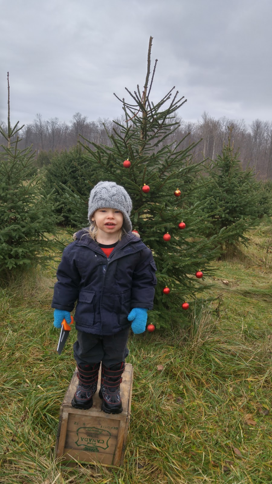 Pedde Tree Farm | 2182 Manning Dr, London, ON N6N 1K2, Canada | Phone: (519) 644-1168