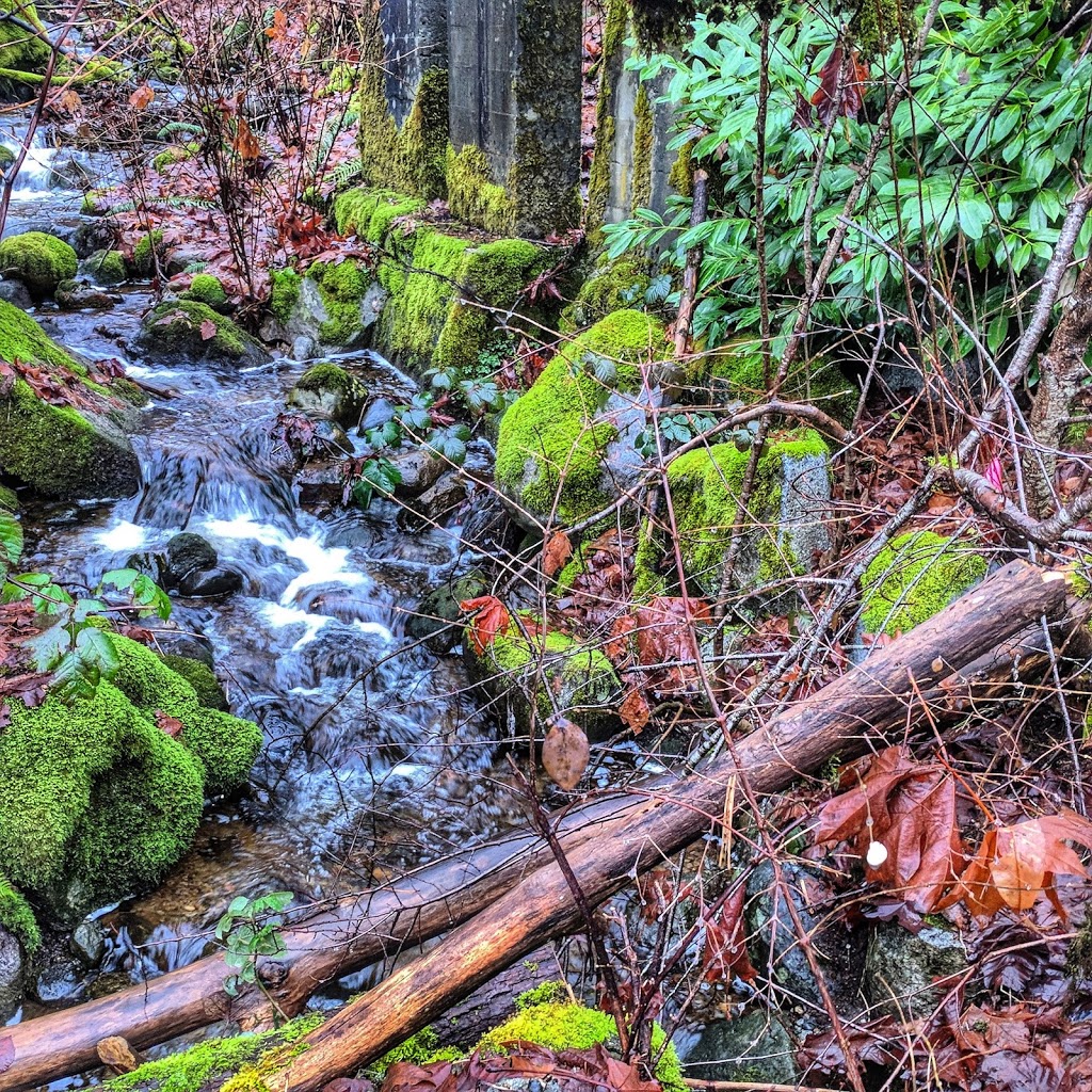 Alouette Park | 485 Alouette Dr, Coquitlam, BC V3C 4Y7, Canada