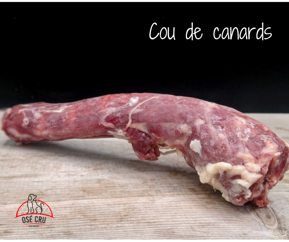 Osé Cru | 8540 QC-220 #2, Sherbrooke, QC J1R 0A8, Canada | Phone: (819) 345-5833