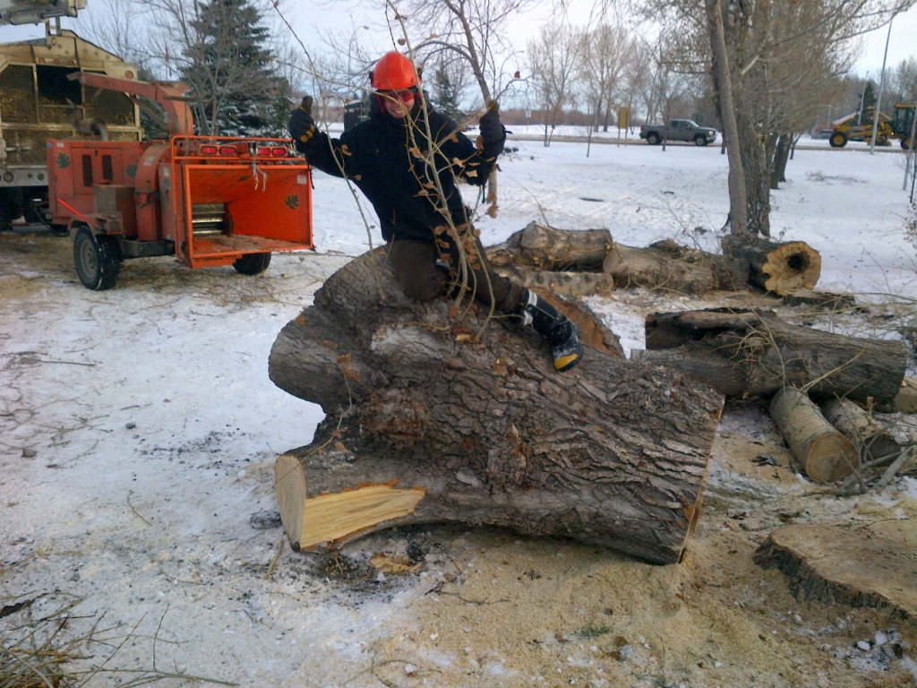 Precise Pruning Ltd | 30 East Lake Hill NE, Airdrie, AB T4A 2K2, Canada | Phone: (403) 948-6174