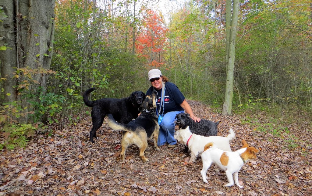 Niagara Pack Leader | 236 Leaside Dr, Welland, ON L3C 6H1, Canada | Phone: (905) 734-7038