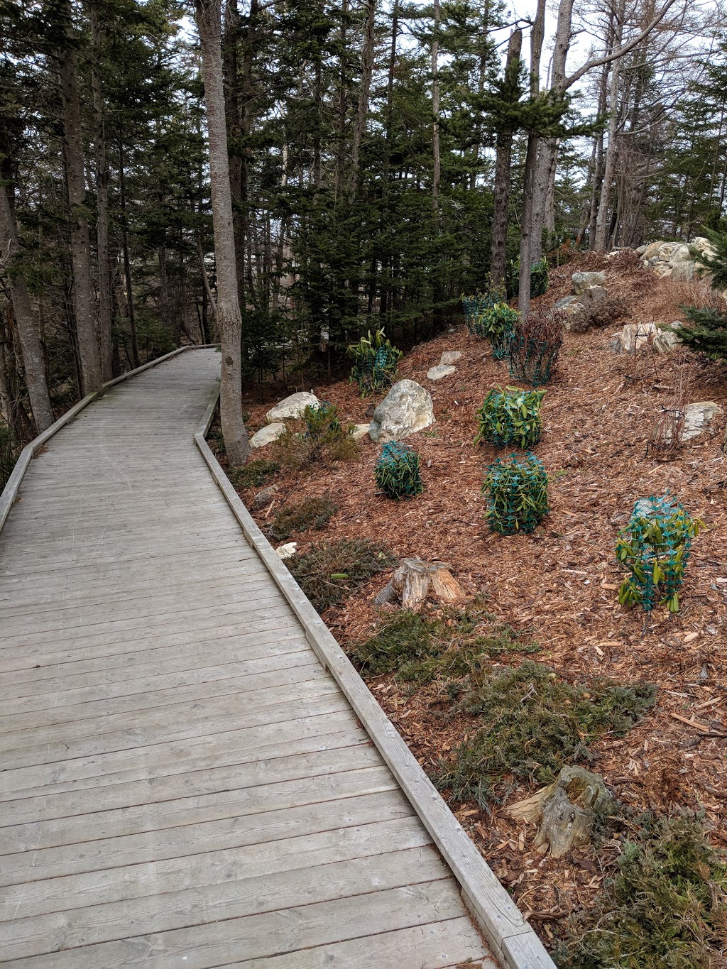 Chamberlains Park | Topsail Rd, Conception Bay South, NL A1W 4A6, Canada