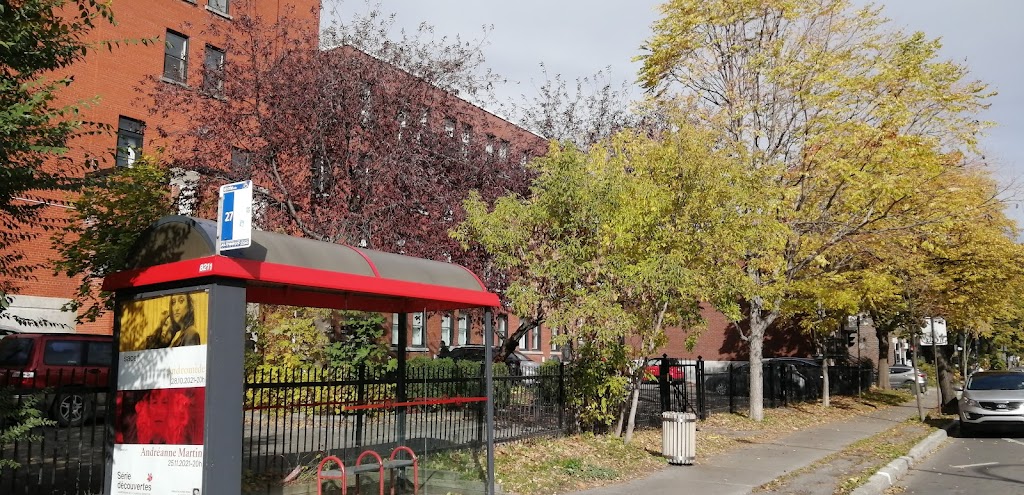 Sukyo Mahikari Montreal | 1225 Bd Saint-Joseph E Suite 401, Montréal, QC H2J 1L3, Canada | Phone: (514) 739-1710
