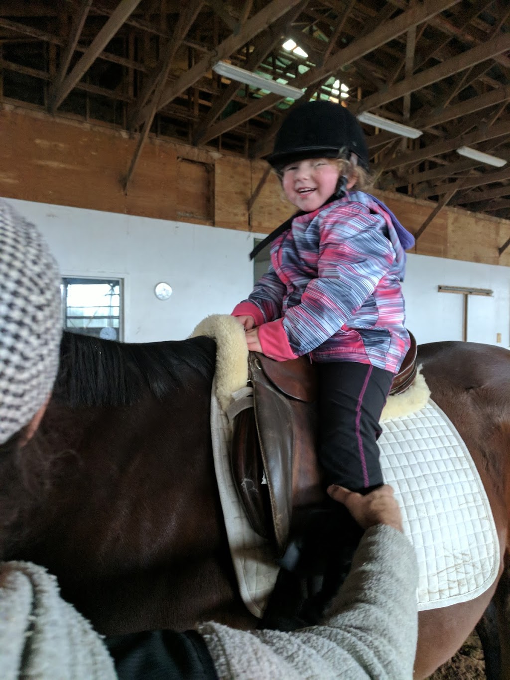 MJ Equestrian | 9998 Garrard Rd, Oshawa, ON L1H 7K4, Canada | Phone: (647) 203-9568