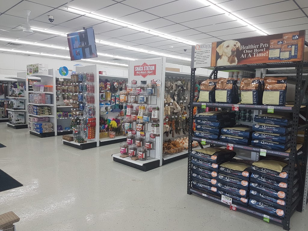 Ruffins Pet Centre - Fort Erie | 1117 Concession Rd, Fort Erie, ON L2A 4G9, Canada | Phone: (905) 871-7117
