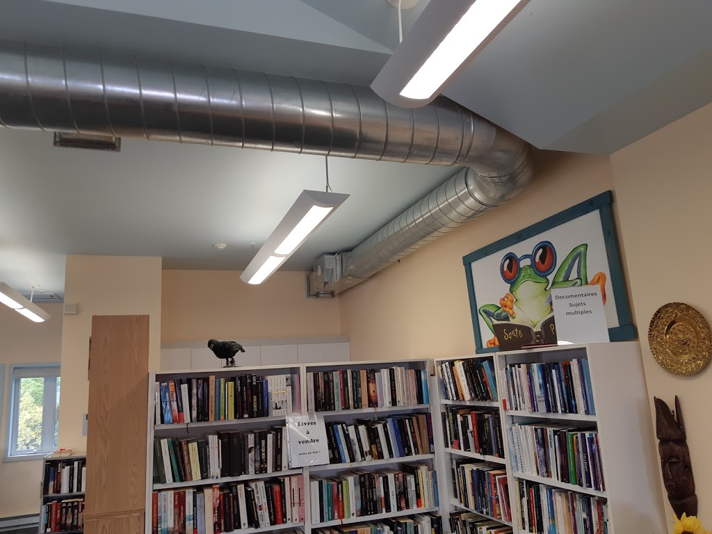 Library Louis Landry | 81 Rue Sainte-Louise, Saint-Jean-de-Matha, QC J0K, Canada | Phone: (450) 886-5855