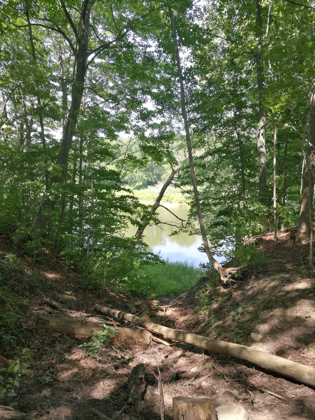 Kains woods environmental area | Unnamed Road, London, ON N6K 0A4, Canada