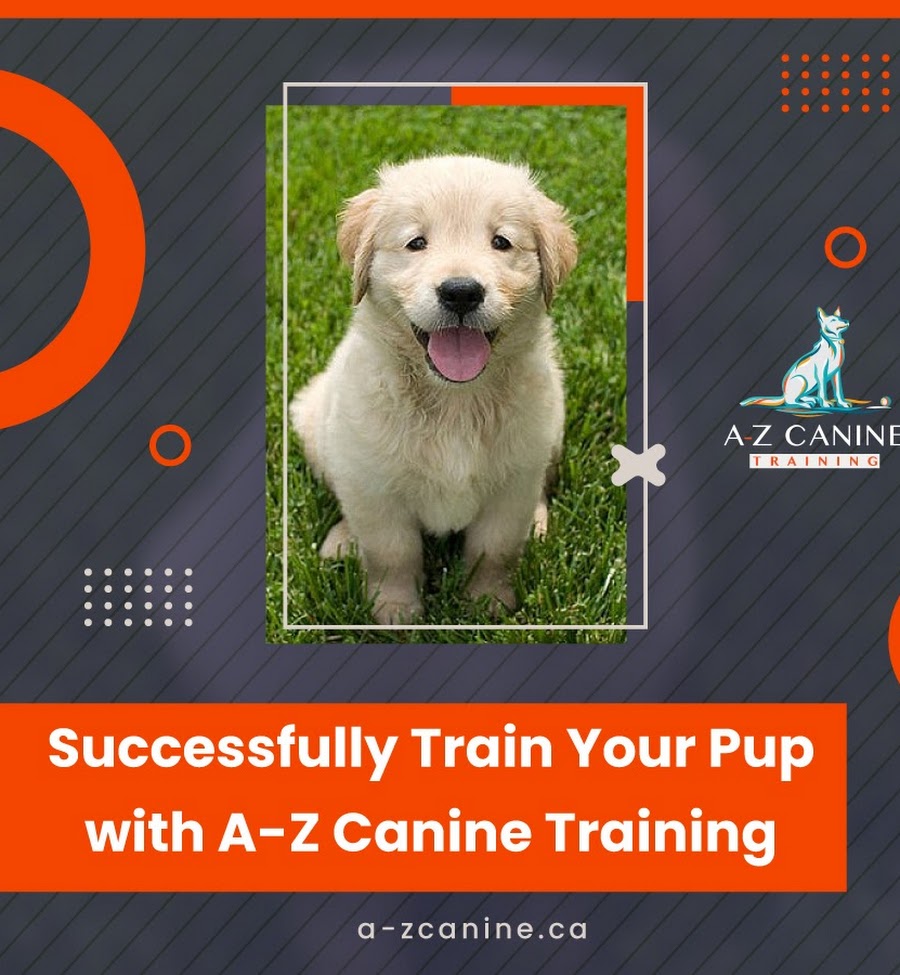 A-Z Canine Training | 7531 13th Ave, Burnaby, BC V3N 2E3, Canada | Phone: (604) 341-6509