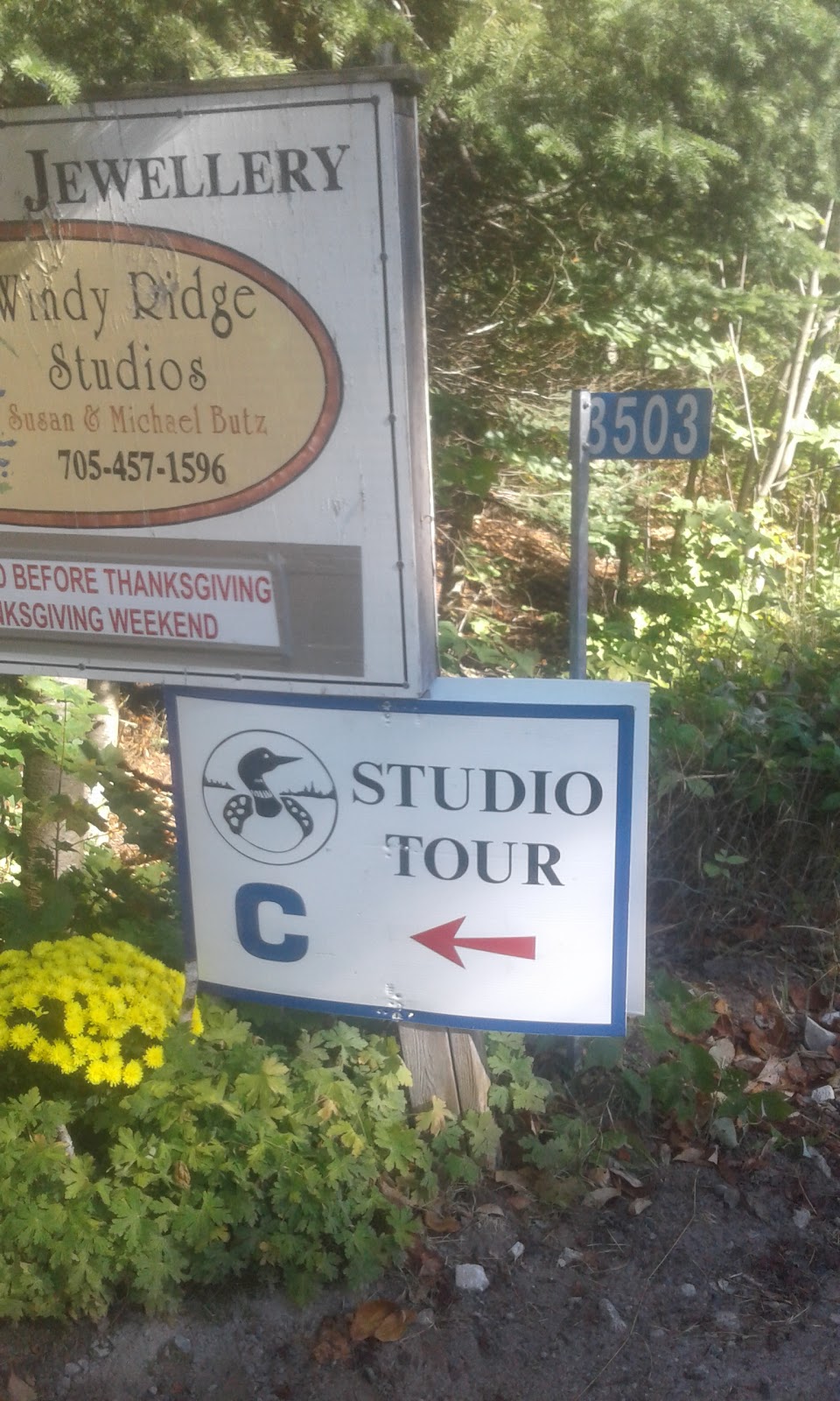 Windy Ridge Studio | 3503 Glamorgan Rd, Gooderham, ON K0M, Canada | Phone: (705) 457-1596