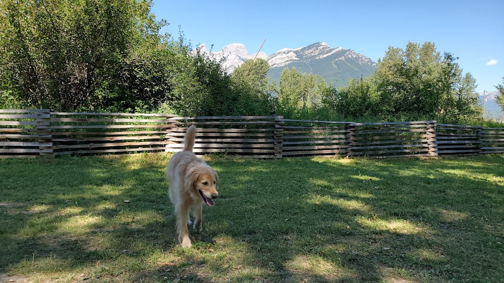 Railyard Dog Park | 95 Ridgemont Ave, Fernie, BC V0B 1M0, Canada | Phone: (778) 509-0701